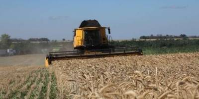 Українські аграрії вже зібрали понад 35 мільйонів тонн зернових та олійних – Мінагрополітики