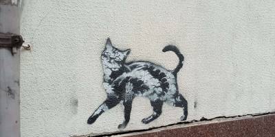 Три котячі зустрічі впродовж одного осіннього дня