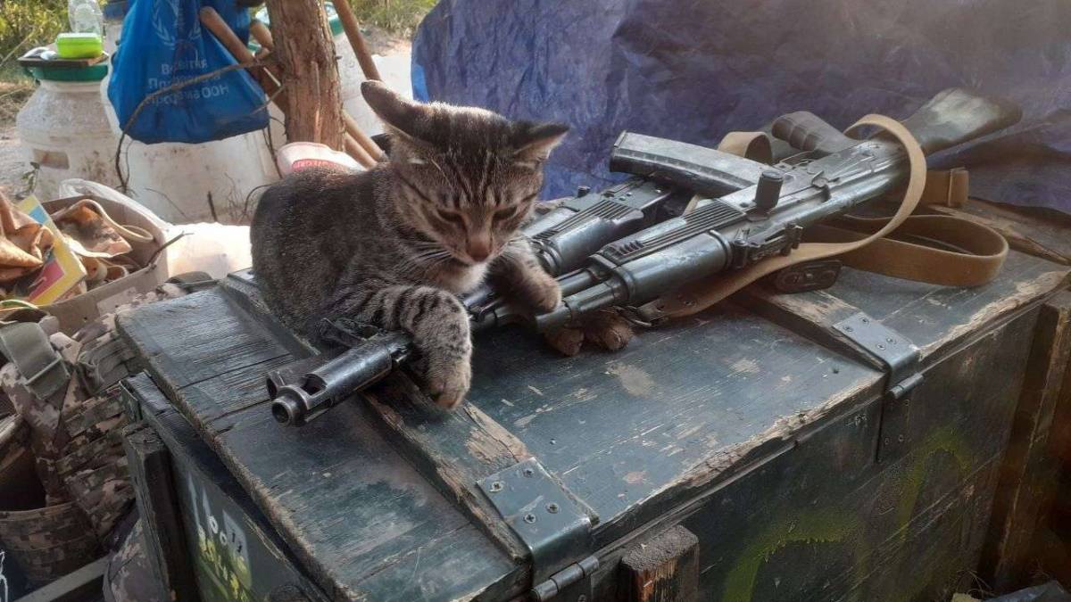 Про людяність військових у нелюдські часи