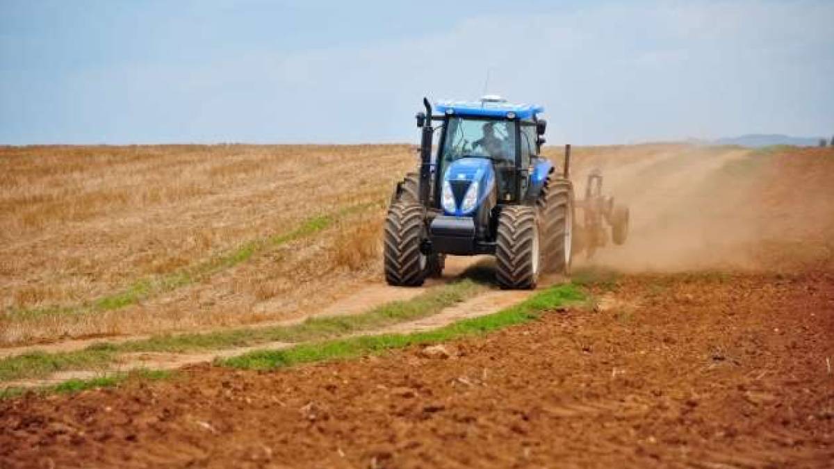 В Україні посіяли майже 640 тисяч гектарів озимих – Мінагрополітики