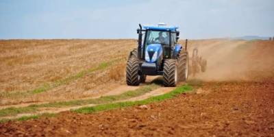 В Україні посіяли майже 640 тисяч гектарів озимих – Мінагрополітики