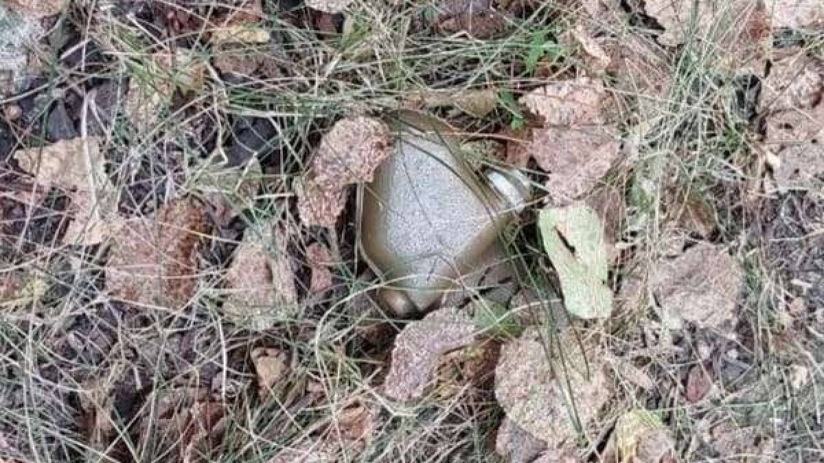 Осіння небезпека: як захистити себе від вибухонебезпечних залишків
