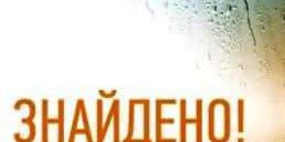У Запоріжжі знайшли зниклу на заході України дівчину