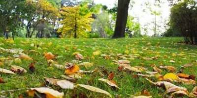 Вихідні в Україні будуть теплими, але з дощами