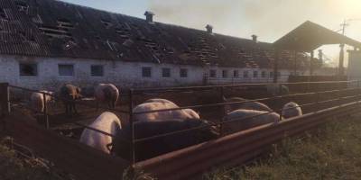 російські війська завдали двох ударів КАБами по території фермерського господарства на Гуляйпільщині внаслідок авіаудару загинуло троє людей — фото