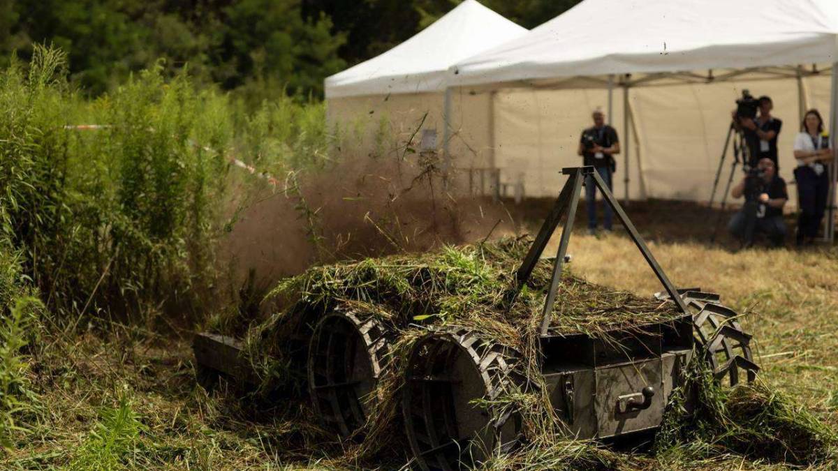 Україну буде розміновувати «Змій»