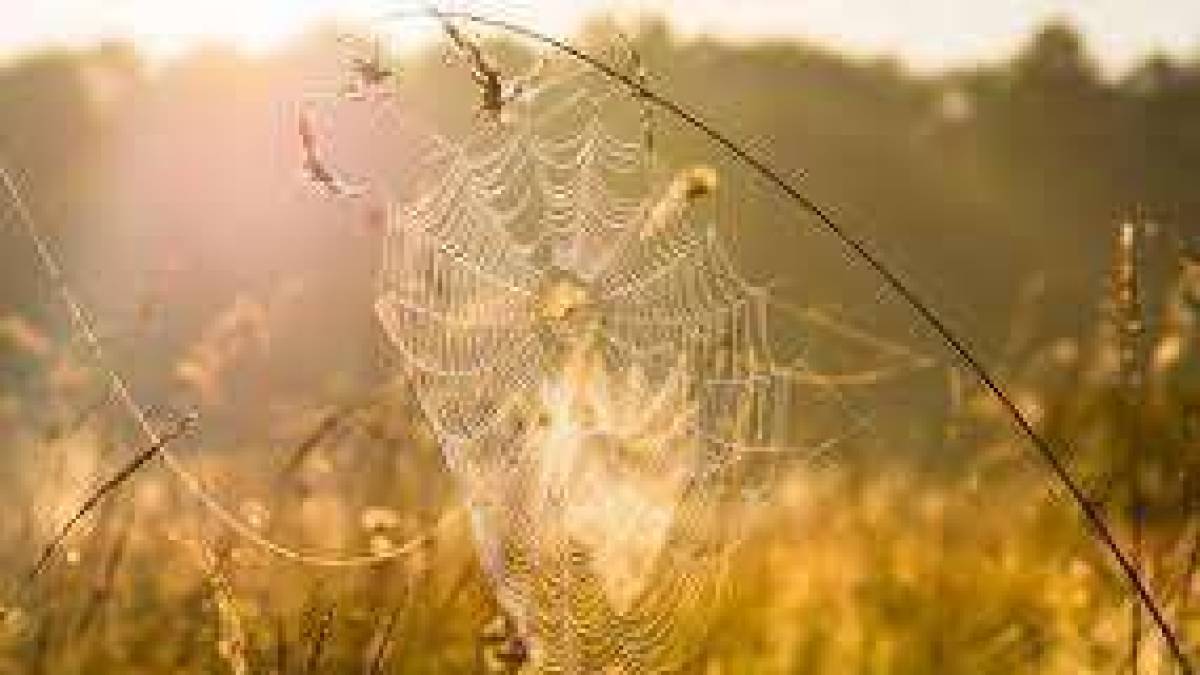 У Запоріжжі зафіксували два нові температурних рекорди