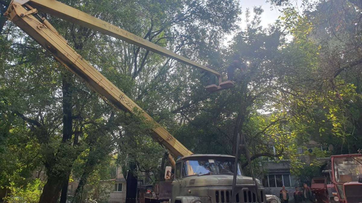 У Запоріжжі займаються видаленням аварійних дерев: працюють “зелені будівельники”