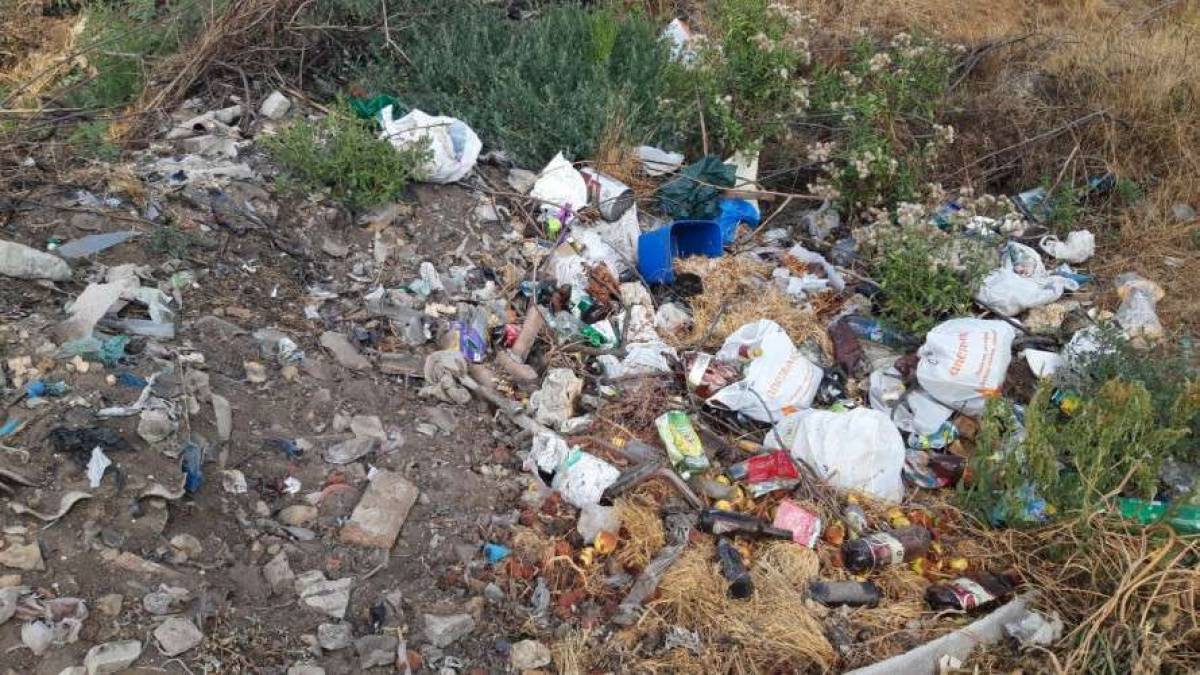 У Запоріжжі ліквідовано звалище на на території Дослідної станції