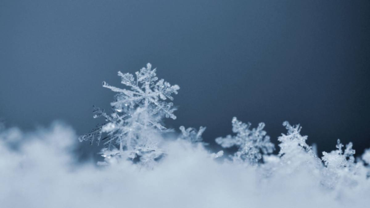 В Карпатах мороз -5°, одразу у двох областях України випав сніг