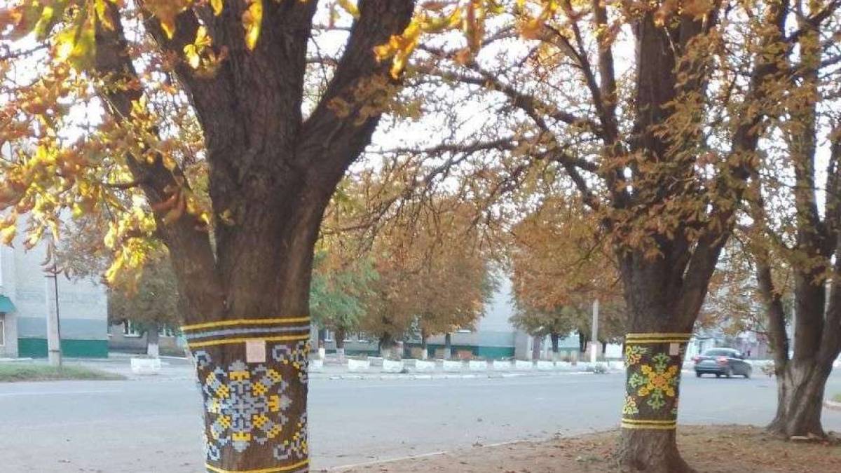 У центрі Вільнянська дерева вдягнулись у вишиванки – фото