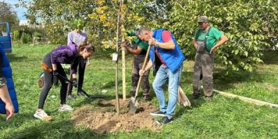 Переселенці з Мелітополя висадили тюльпанові дерева у парку Львова