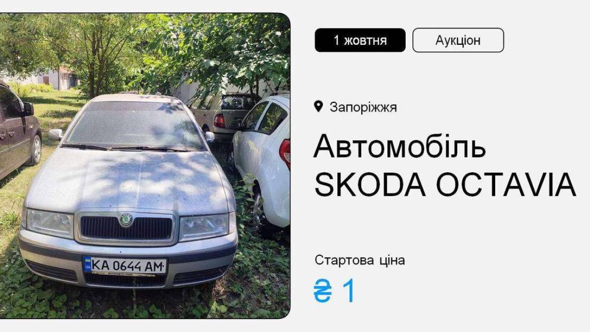 У Запоріжжі проводять перший аукціон з приватизації «гривнівки»