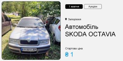 У Запоріжжі проводять перший аукціон з приватизації «гривнівки»