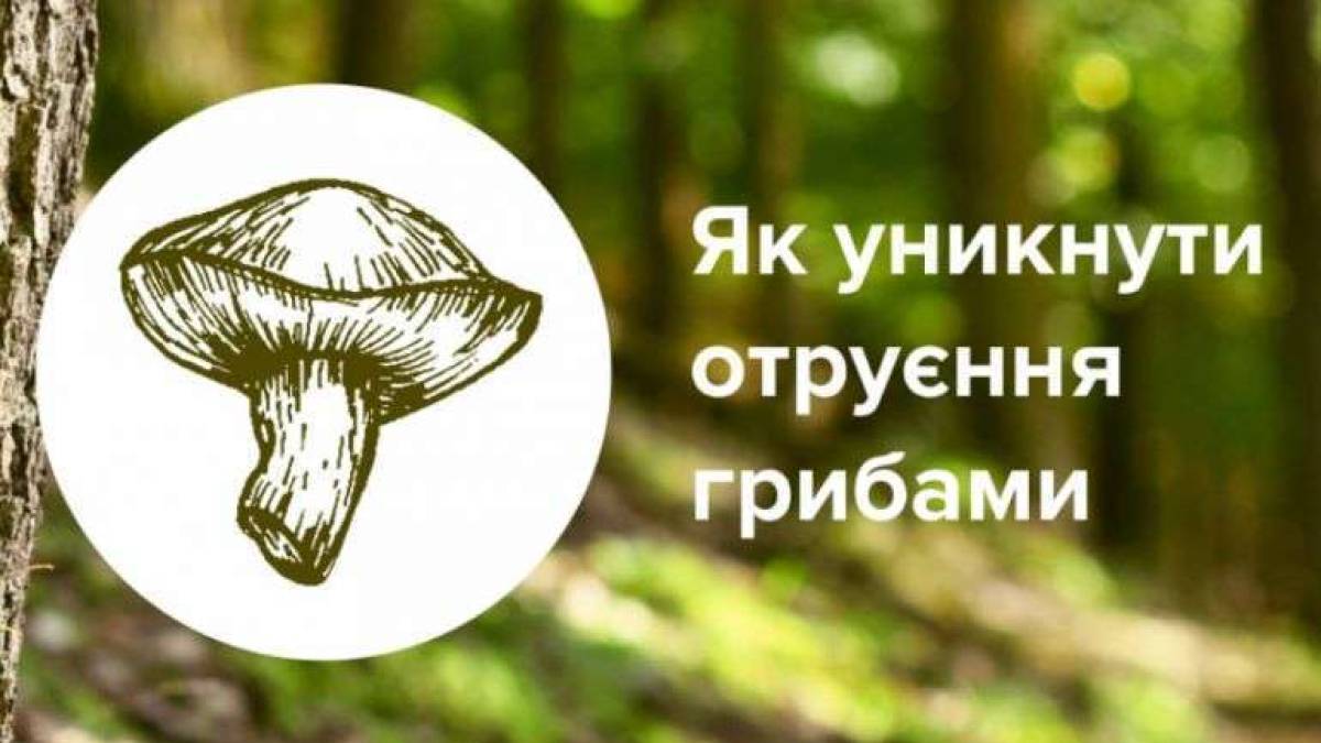 Запоріжців попереджають про небезпеку отруєння грибами
