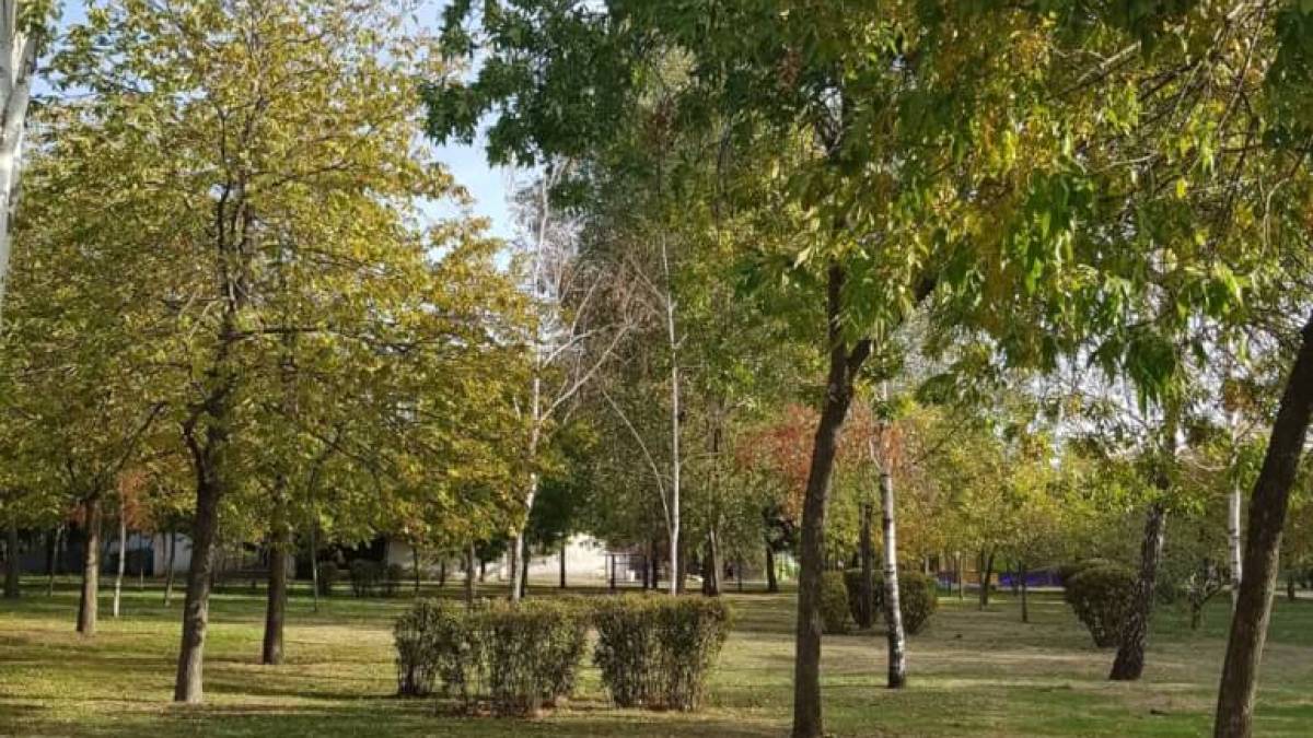 Якою буде погода на вихідні у Запоріжжі та області: прогноз синоптиків