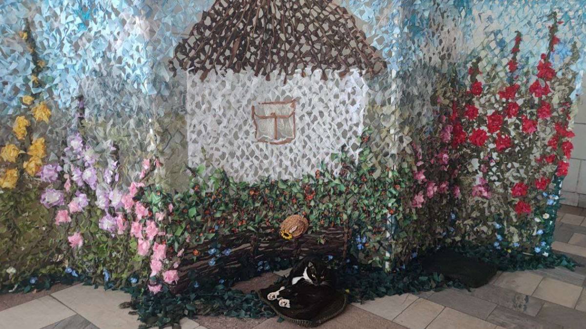 Бібліотечна берегиня киця Аліса обрала собі затишок під сіткою-картиною
