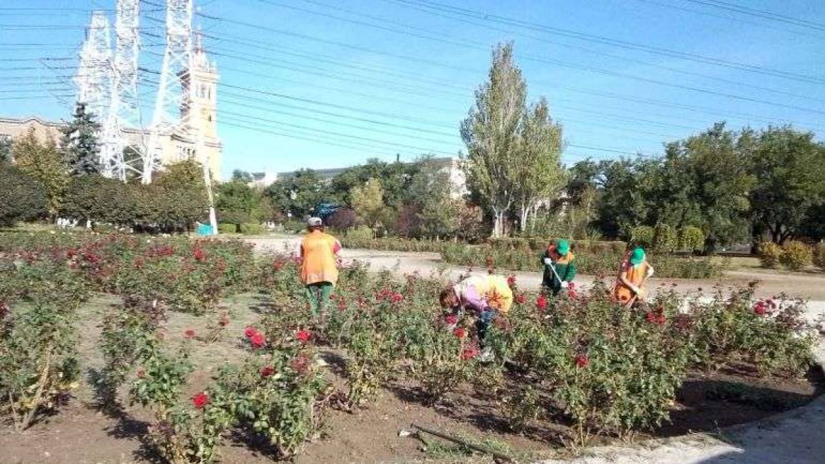 Робота комунальників у Запоріжжі: що зроблено за тиждень