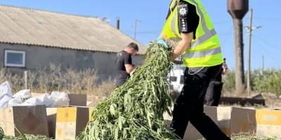 Поліція Запоріжжя викрила масштабну наркоплантацію вартістю 94 мільйони гривень (ВІДЕО)
