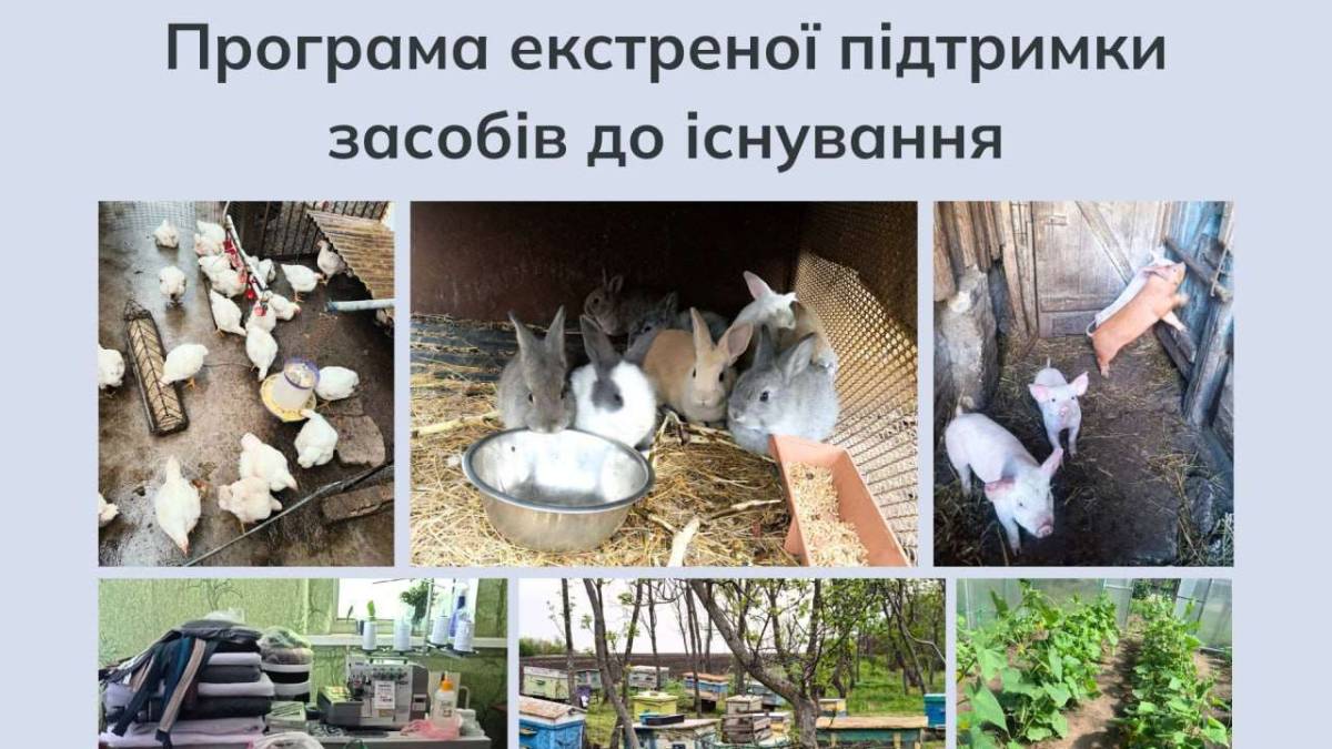 Міжнародні партнери запустили програму підтримки домогосподарств Запорізької області