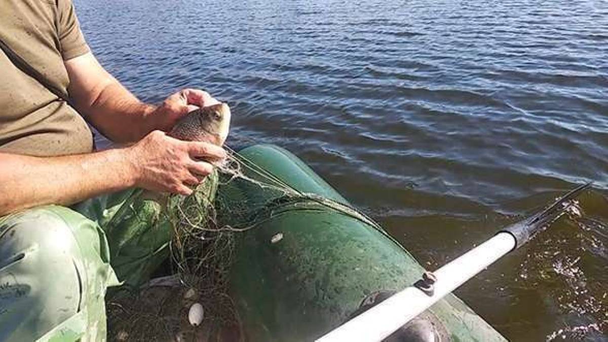 Поблизу Кушугуму було зупинено незаконний вилов риби