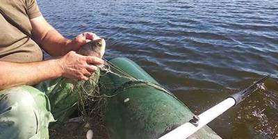 Поблизу Кушугуму було зупинено незаконний вилов риби