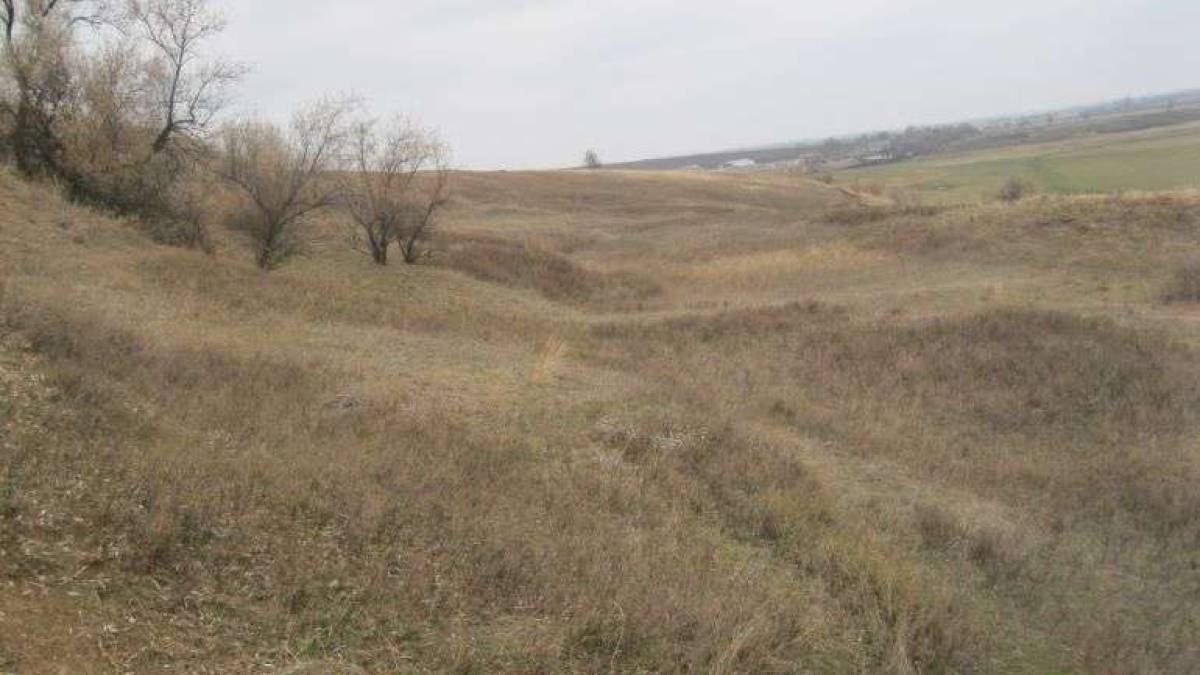 Держекоінспекція виявила порушення в діях Новомиколаївської сільської ради