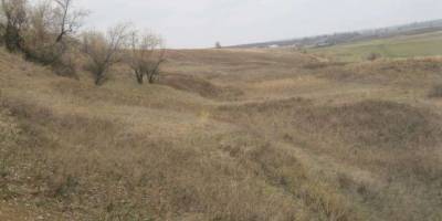Держекоінспекція виявила порушення в діях Новомиколаївської сільської ради