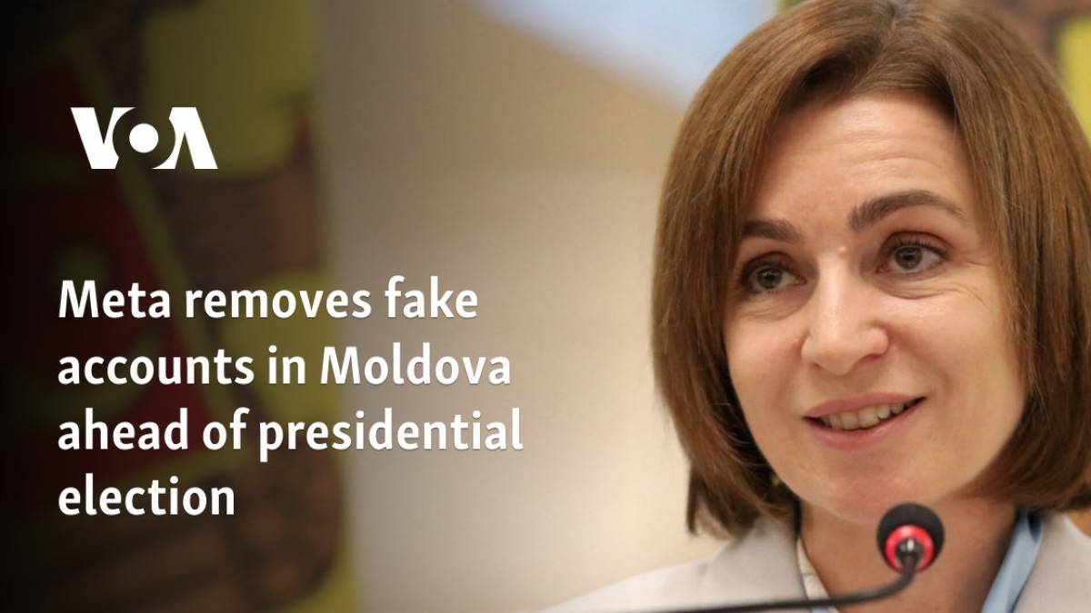 Meta видаляє фейкові акаунти в Молдові напередодні президентських виборів