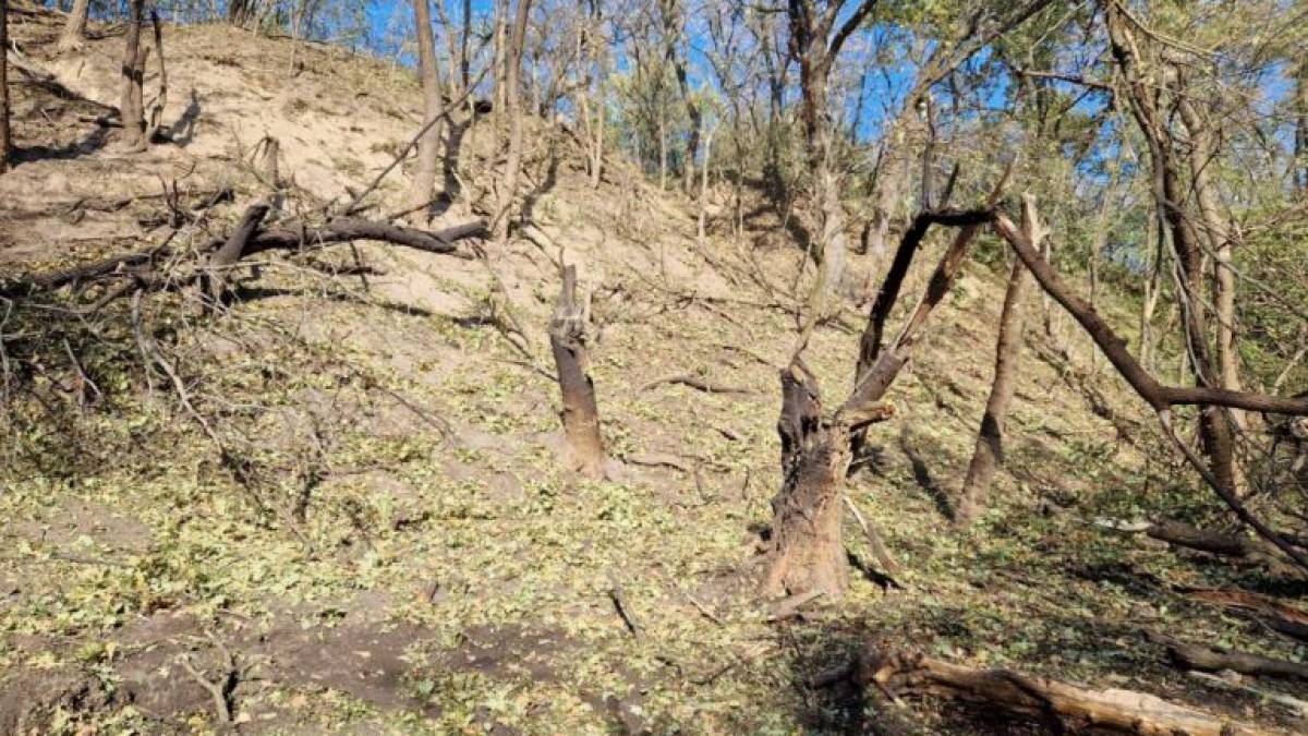 У Запоріжжі екологами обстежено ще одну ділянку, яка нещодавно постраждала від авіаудару