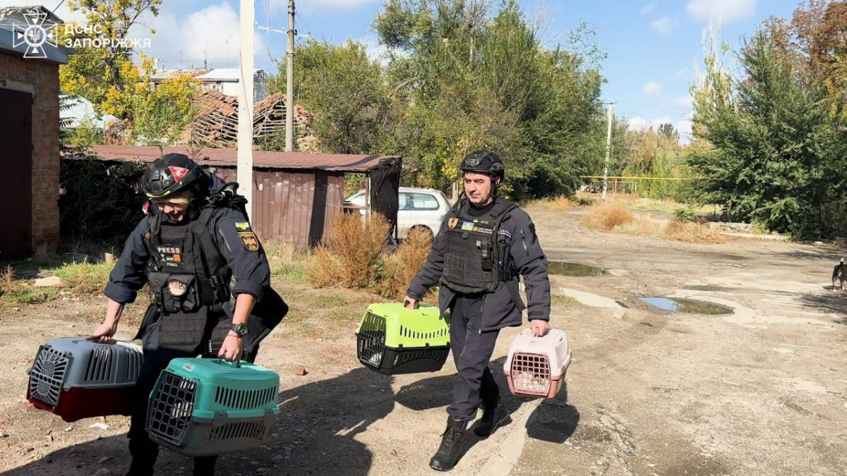 Незламний Оріхів: як жителі та рятувальники протистоять щоденним обстрілам (відео)