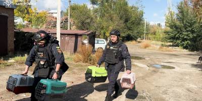 Незламний Оріхів: як жителі та рятувальники протистоять щоденним обстрілам (відео)