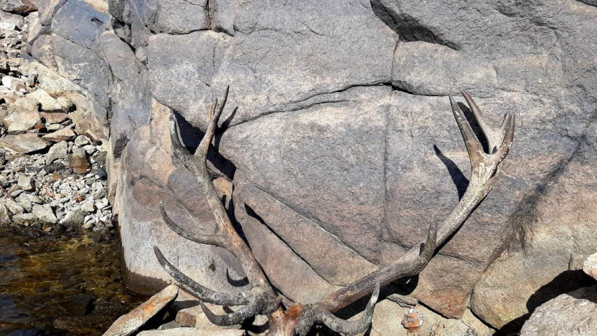 У Запоріжжі на Хортиці виявили цікаву знахідку (фото)