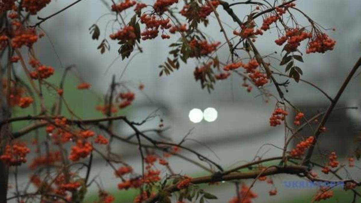 У неділю, 20 жовтня,  у більшості областей очікується характерна для осені помірна хмарність