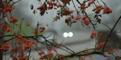 У неділю, 20 жовтня,  у більшості областей очікується характерна для осені помірна хмарність