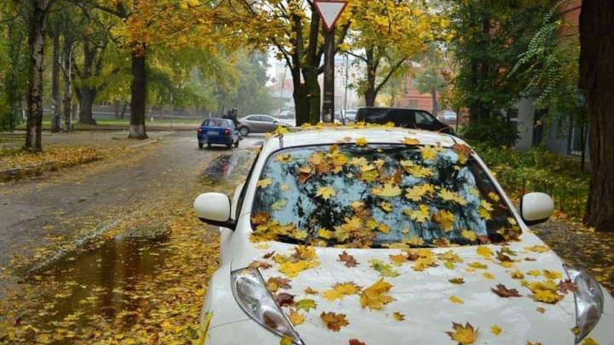 Якою буде погода в Запоріжжі в перші дні тижня – прогноз синоптиків