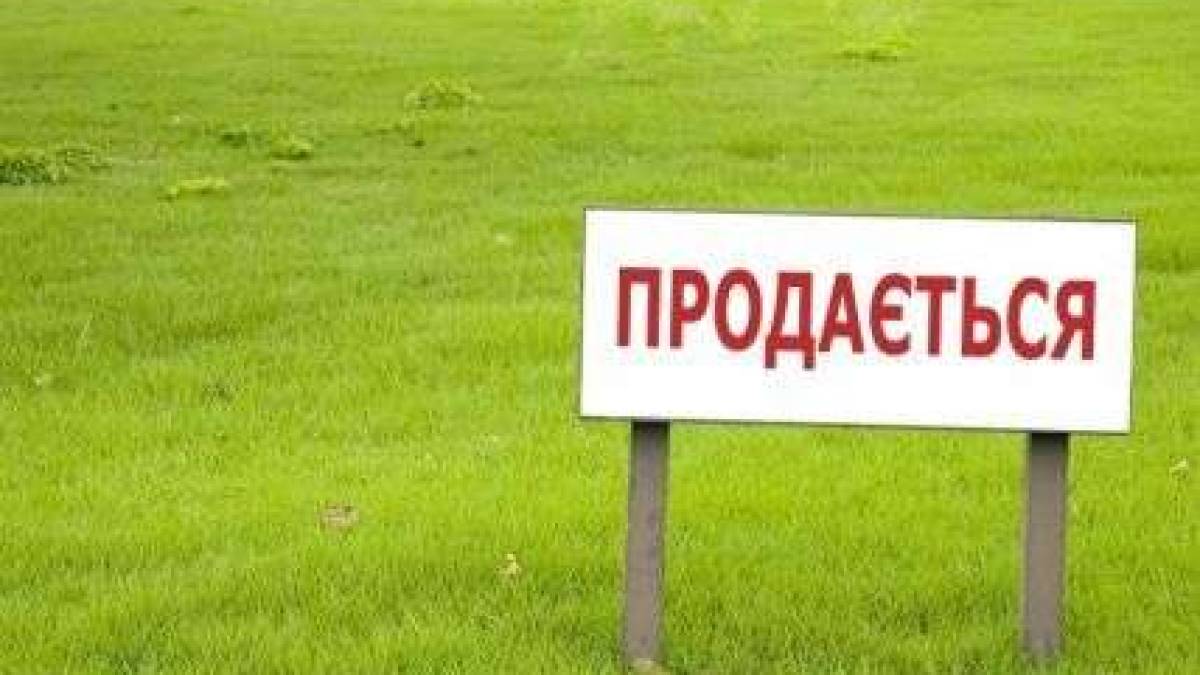 В Запорожской области впервые отдали в субаренду государственные земельные участки
