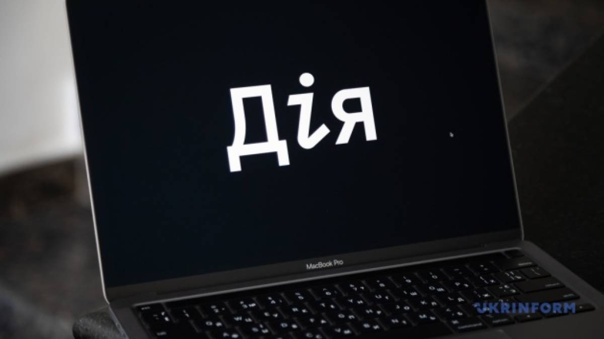 Дозвіл на зброю, «єАкциз» і ще 4 послуги будуть доступними в «Дії» — Федоров розкрив деталі