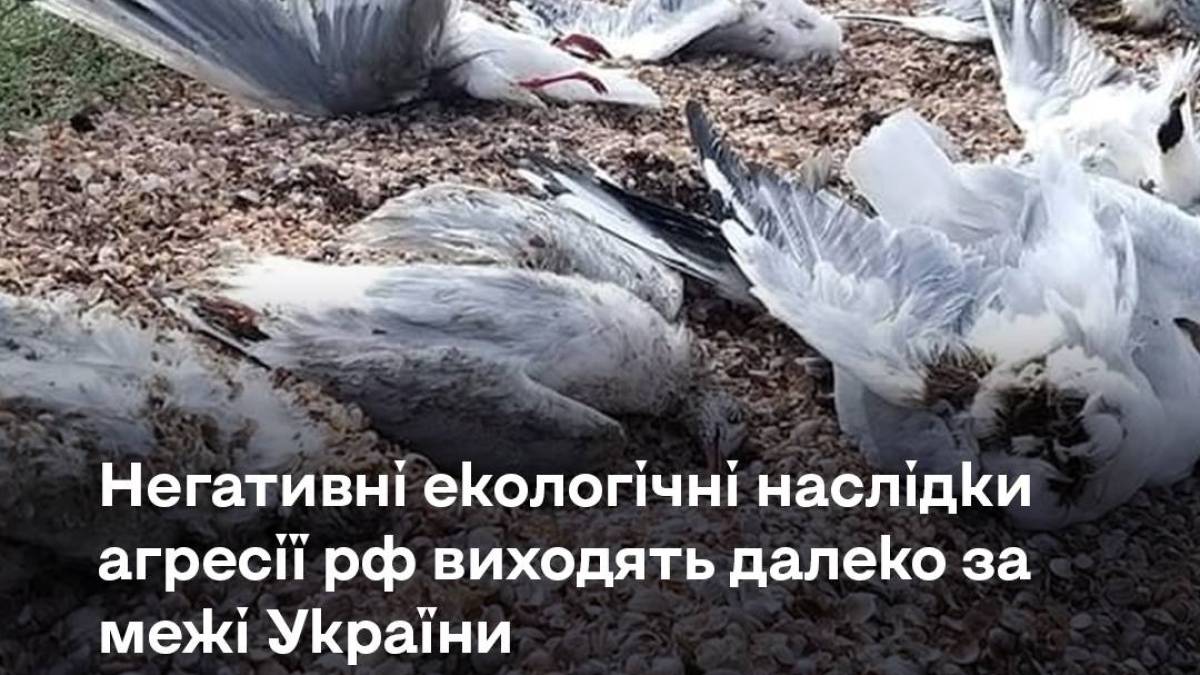 Тотальний екоцид України – один з пунктів кремлівського терору. Пояснює Центр стратегічних комунікацій