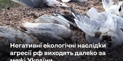 Тотальний екоцид України – один з пунктів кремлівського терору. Пояснює Центр стратегічних комунікацій