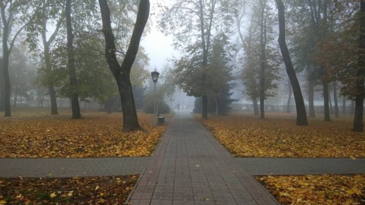 В Україні сьогодні очікується невеликий дощ і мокрий сніг