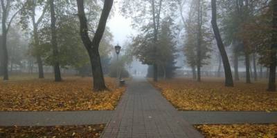 В Україні сьогодні очікується невеликий дощ і мокрий сніг