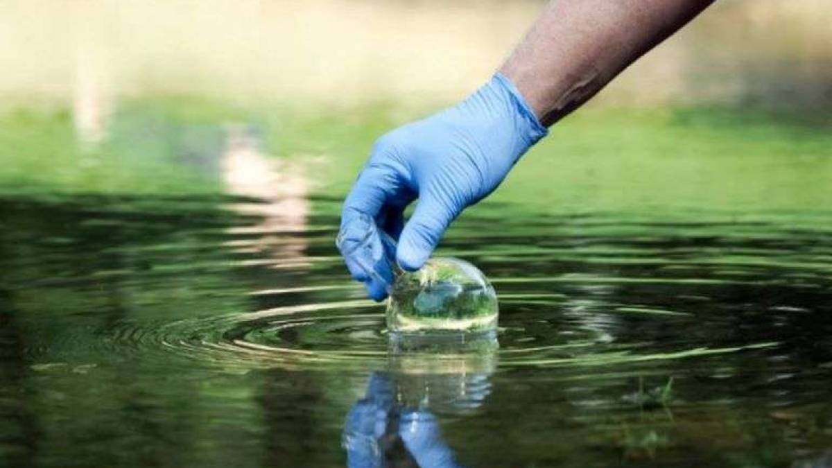 Екологи перевірили якість води у верхньому б’єфі річки Дніпро
