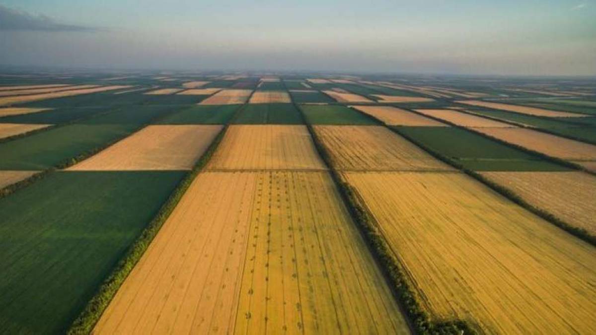 Президент підписав Закон про продовження терміну приватизації земельних паїв