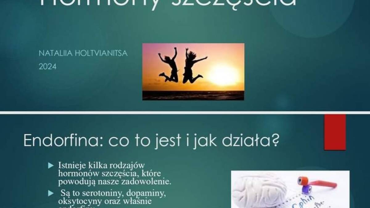 Разом подолати депресивні думки та непорозуміння: до ЗОУНБ запрошує Польський мовний табір