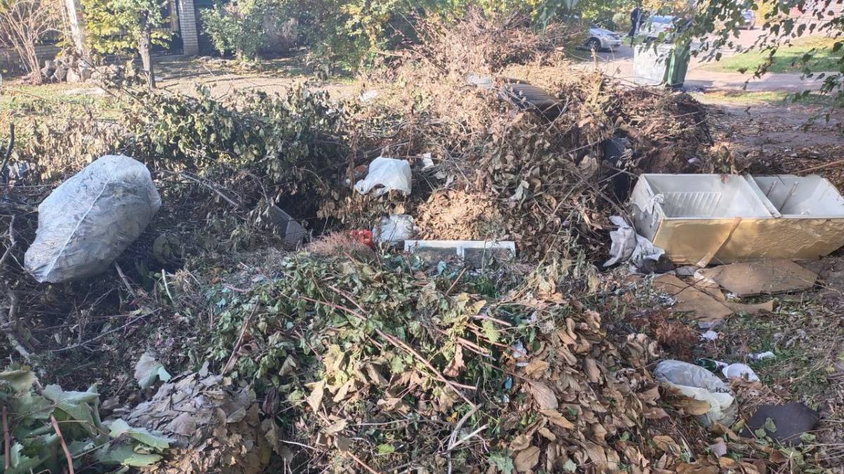 У Запоріжжі мешканці приватних будинків зносять сміття до багатоповерхівок — там утворилося величезне звалище (фото)