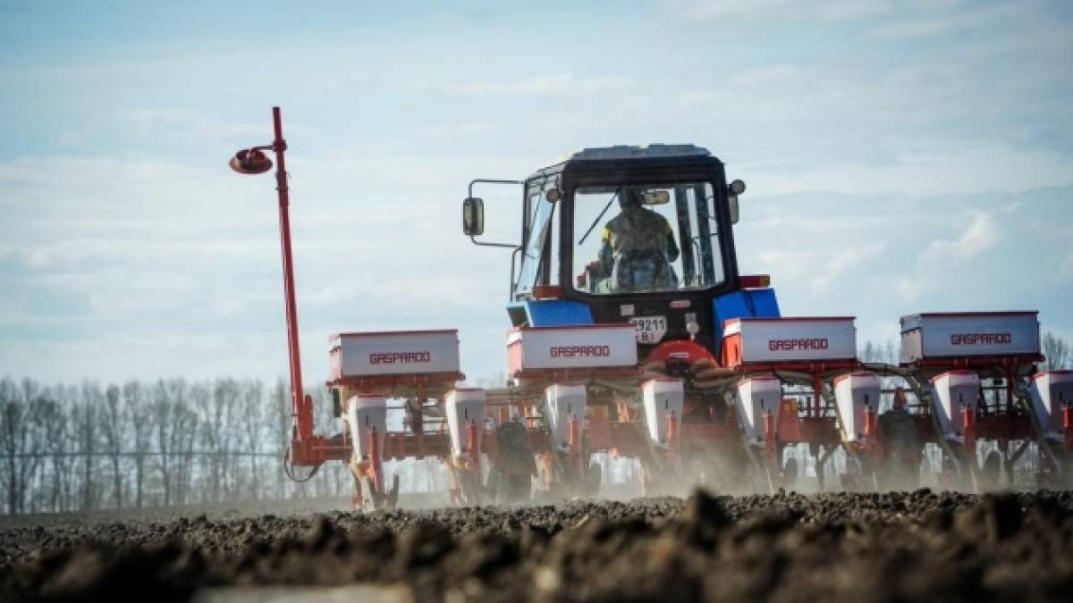 Аграрії 14-ти областей завершили сівбу озимих зернових