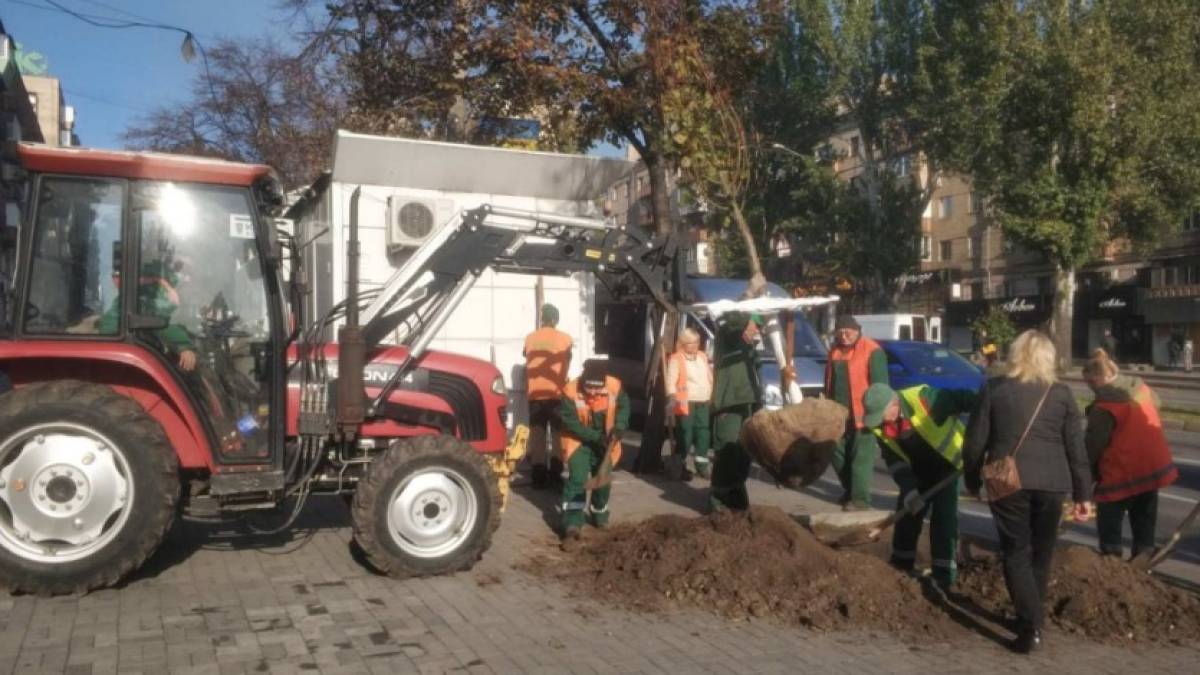 У Запоріжжі продовжується активне озеленення міських територій