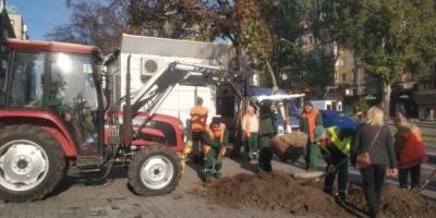 У Запоріжжі продовжується активне озеленення міських територій