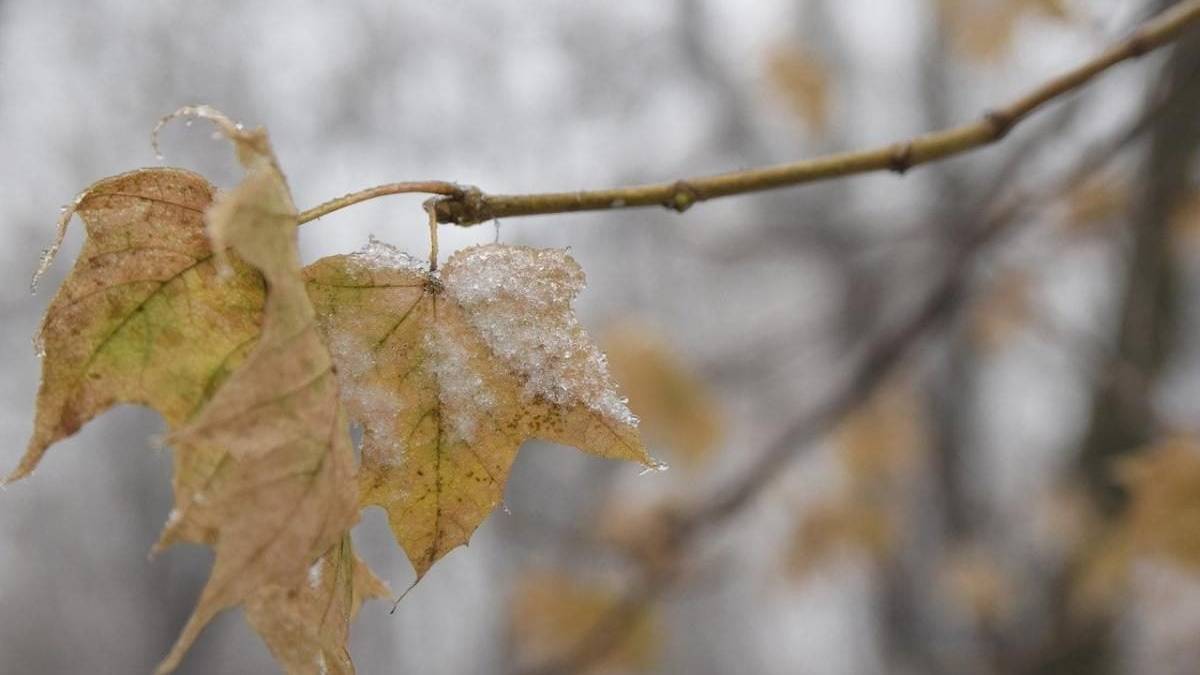 На вихідних трохи потеплішає, буде сонячно і переважно без дощів